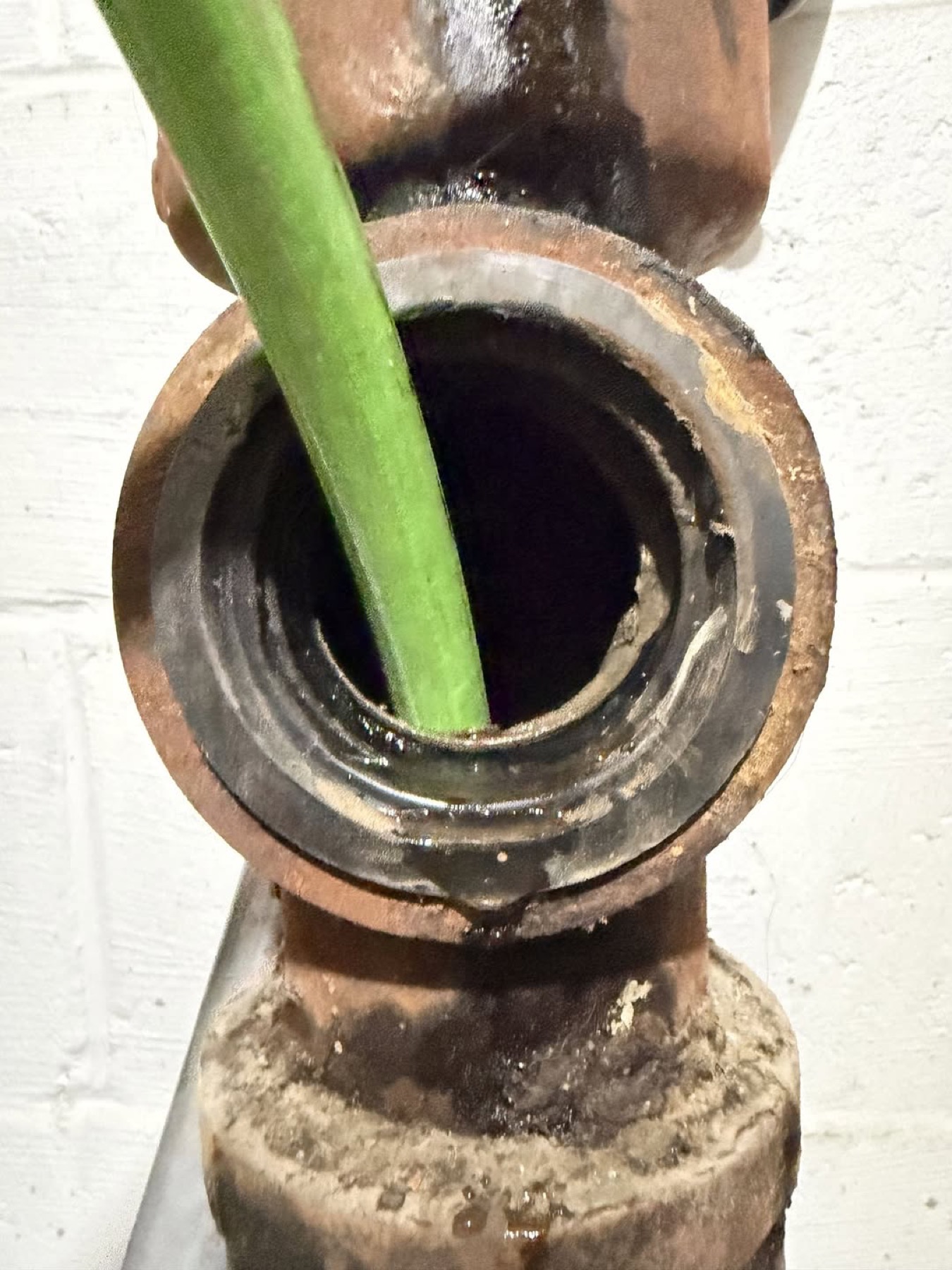 Hose entering a residential main